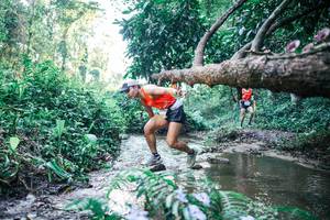 BIB: 
                            <button type="button" onclick="openModal(25430482)" class="btn btn-primary btn-sm float-right btn-popup" data-toggle="modal" data-target=".modal-high-quality">
                        <i class="fas fa-shopping-cart"></i> Add to Cart
                    </button>
                                            <button type="button" onclick="isThisMe(25430482, true)" class="btn btn-success btn-sm float-right btn-popup btn-isme hidden" data-toggle="tooltip" data-placement="bottom" title="นี่คือรูปของคุณใช่ไหม คลิกที่นี่เพื่อเอาเข้าอัลบั้ม">
                        <i class="fas fa-plus"></i> Add to album
                    </button>
                    <button type="button" onclick="isThisMe(25430482, false)" class="btn btn-warning btn-sm float-right btn-popup btn-isnotme hidden">
                        <i class="fas fa-ban"></i> Remove from album
                    </button>